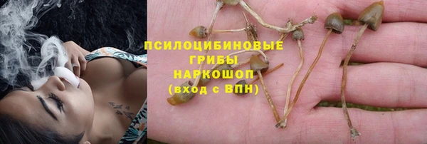 ALPHA-PVP Алексин