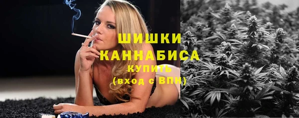 сатива Абинск