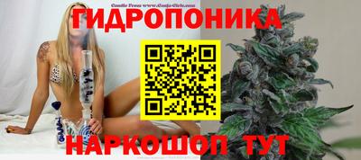 крисы Изобильный