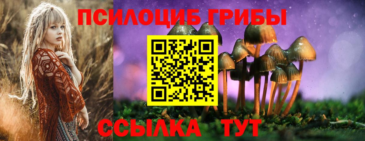 Псилоцибиновые грибы MAGIC MUSHROOMS Лысьва